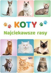 Koty. Najciekawsze rasy