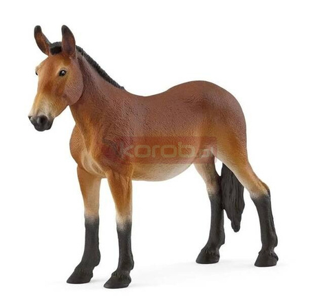 Muł