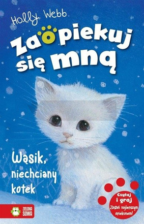 Zaopiekuj się mną. Wąsik, niechciany kotek w.2016
