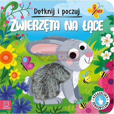 Dotknij i poczuj. Zwierzęta na łące.