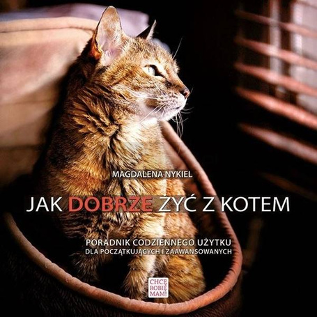 Jak dobrze żyć z kotem