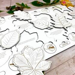 Liście i owoce drzew