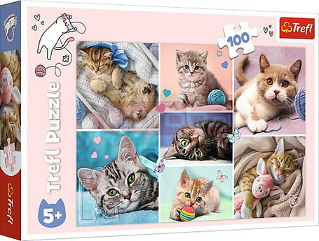 Puzzle 100 elementów W kocim świecie