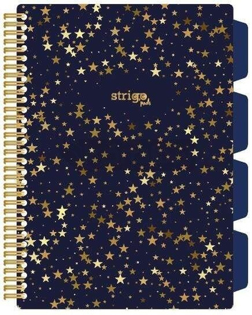 Kołozeszyt Pads B5/100K kratka Gwiazdy