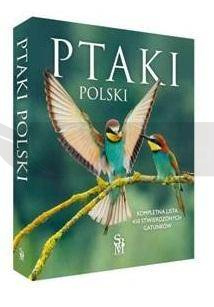 Ptaki Polski