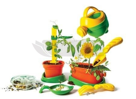 Naukowa zabawa Botanika dla malucha 60598