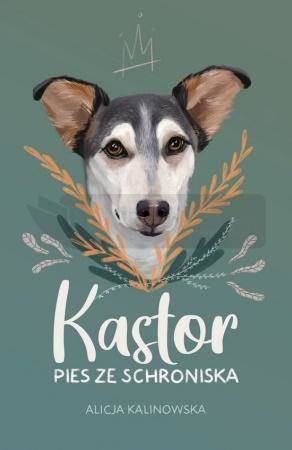 Kastor. Pies ze schroniska