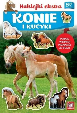 Konie i kucyki