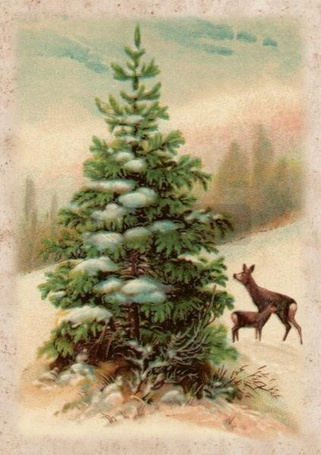 Karnet ST486 B6 + koperta Święta Choinka i sarny