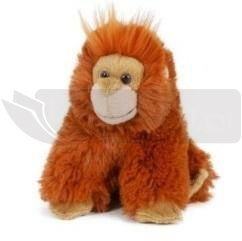 Orangutan 13cm