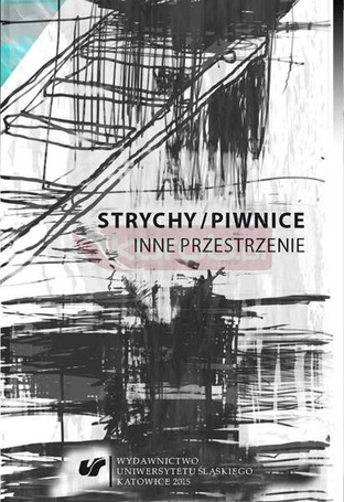 Strychy/piwnice. Inne przestrzenie