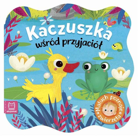 Maluch poznaje zwierzę. Kaczuszka wśród przyjaciół