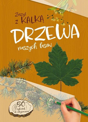 Drzewa naszych lasów. zeszyt z kalką