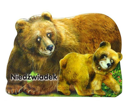 Niedźwiadek LIWONA
