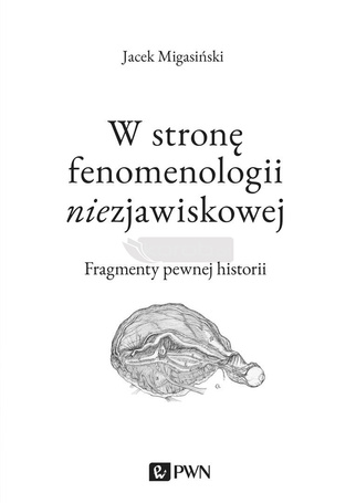 W stronę fenomenologii niezjawiskowej