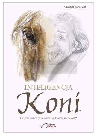 Inteligencja koni