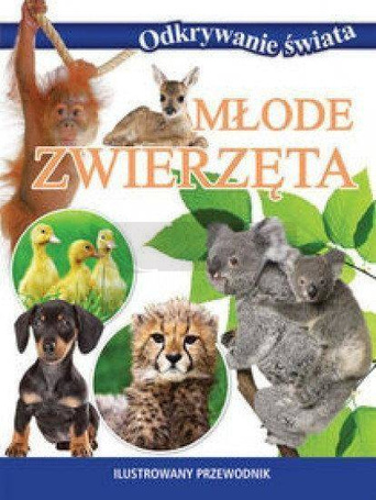 Odkrywanie świata - Młode zwierzęta
