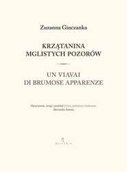 Krzątanina mglistych pozorów. Wiersze Wybrane