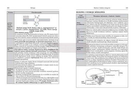 Tablice zbiorcze przedmioty ścisłe GREG