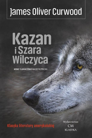 Kazan i Szara Wilczyca