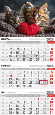 Kalendarz 2026 trójdzielny z magnesem kotki