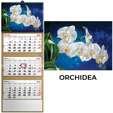Kalendarz 2026 trójdzielny orchidea