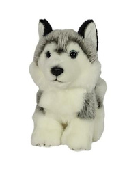 Pies Husky 19cm