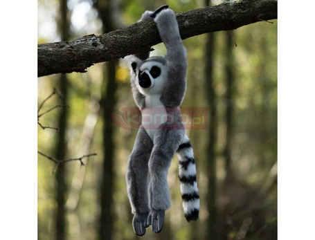 Pluszowy lemur na rzepy