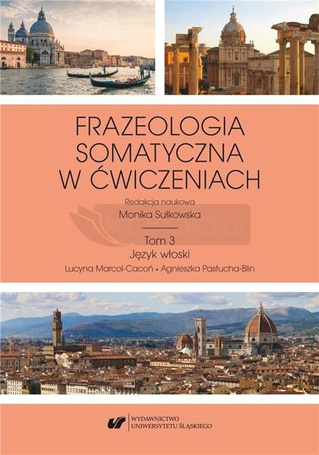 Frazeologia somatyczna w ćwiczeniach T.3