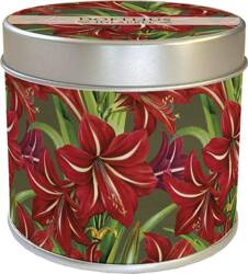 Zapachowa świeczka gwiazda bet. - zapach jabłkowy