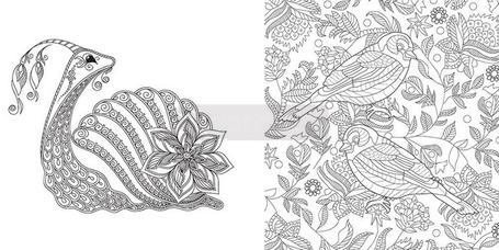 Tajemny świat przyrody. Kolorowanki rozbudzające..