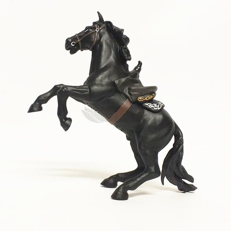 Koń Zorro