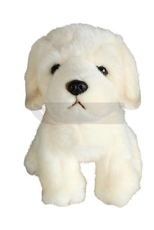 Pies retriver 19cm