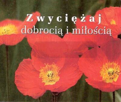 Perełka 193 - Zwyciężaj dobrocią i miłością.