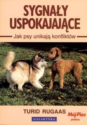 Sygnały uspokajające. Jak psy unikają konfliktów