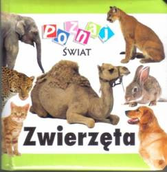 Poznaj świat - Godzina, dobra, rok LIWONA