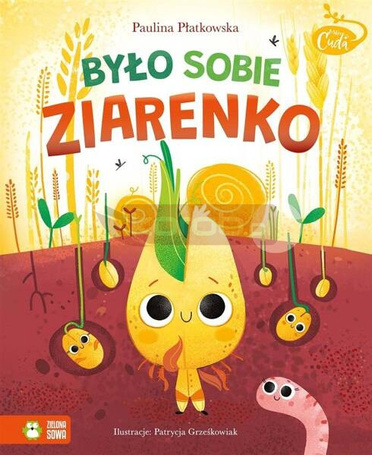 Mikrocuda. Było sobie ziarenko