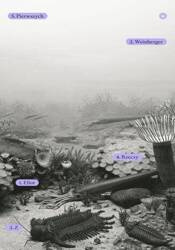 Z rzeczy pierwszych w.2