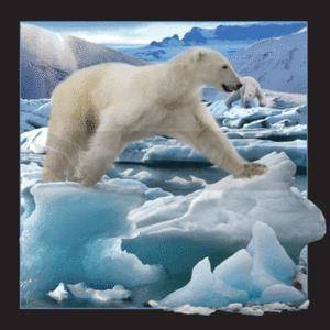 Magnes 3D Niedźwiedź Polarny w skoku