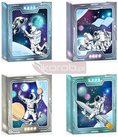 Torebka prezentowa L Kosmos