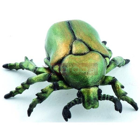 Kruszczyca złotawka