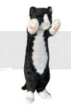 Kot stojący czarno-biały 25cm