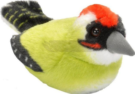 Maskotka Dzięcioł zielony