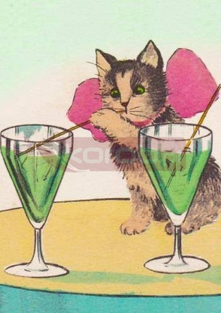 Karnet B6 z kopertą Kot i drinki