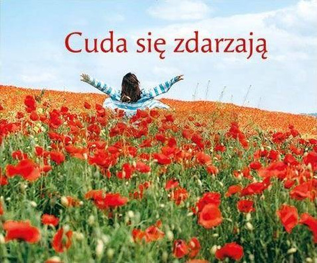 Perełka 323 - Cuda się zdarzają