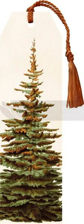 Zakładka 53 ze wstążką Jodła Święta BN