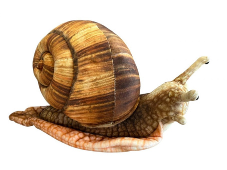 Ślimak 35cm