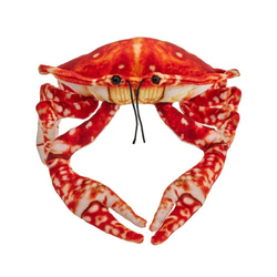 Krab pomarańczowy 26cm