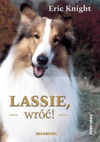 Lassie, wróć!