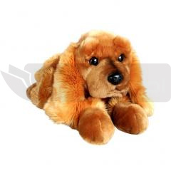 Pies Spaniel 62cm